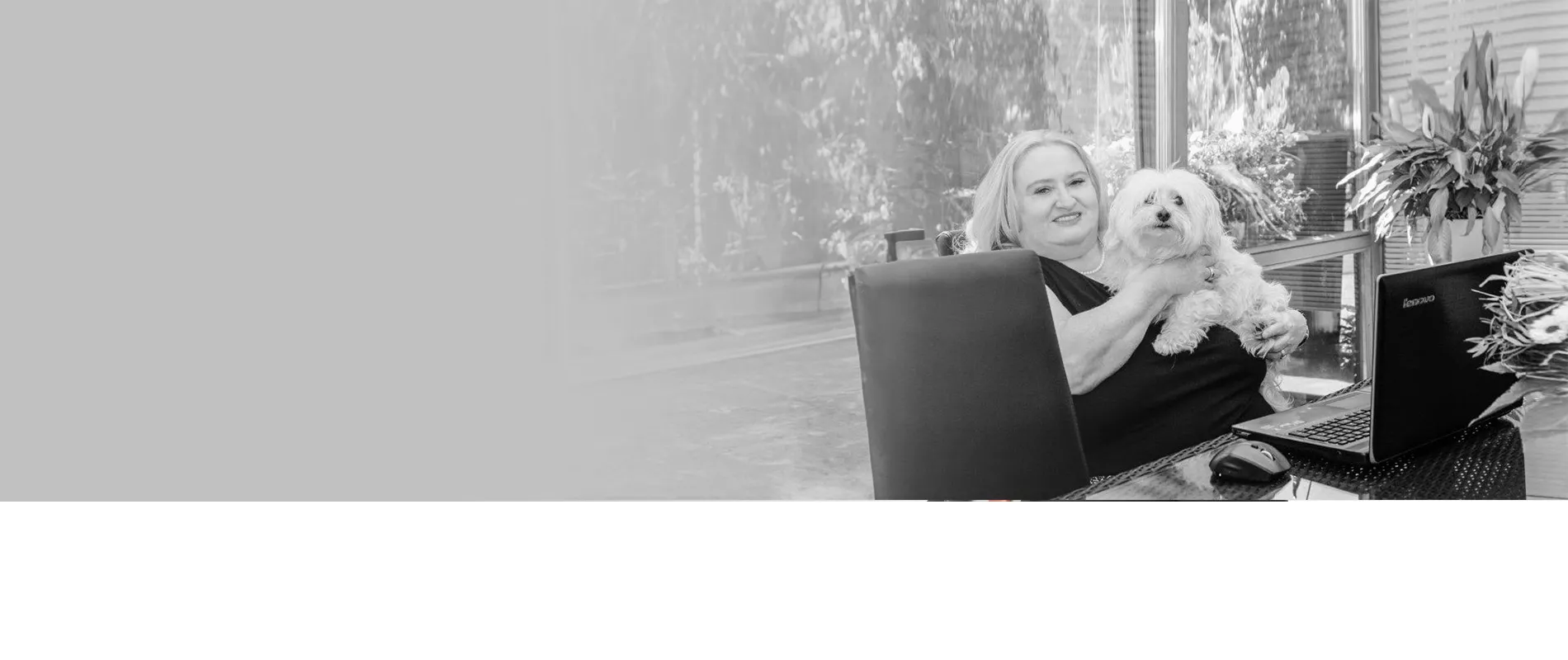 kompetenzen-hintergrund-neu